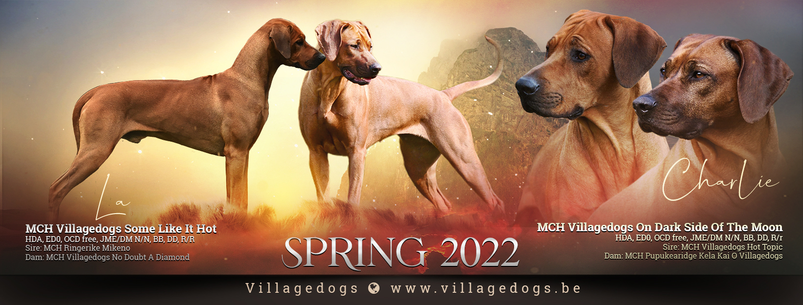 FBspring2022 copy